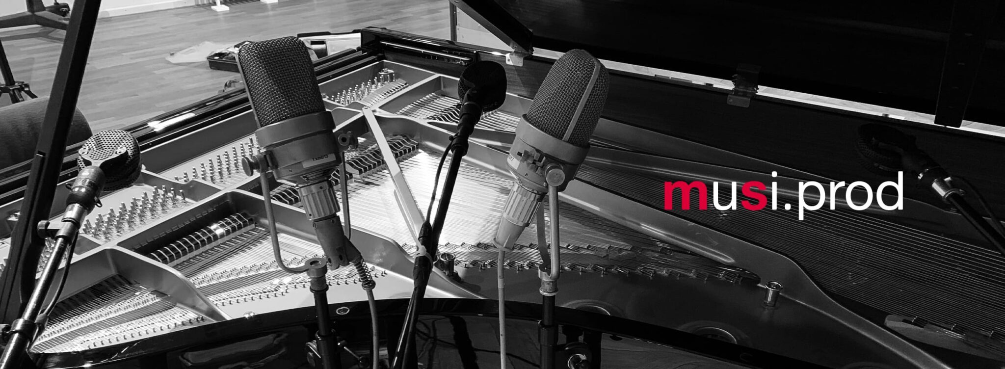 Bandeau Musi.prod Martin Sauer